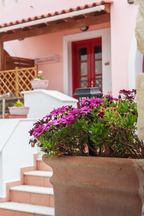 Chalki Apartments - Naxos Khalkíon Exterior foto